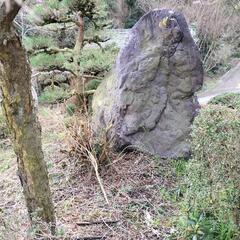 立派な庭石です。の画像