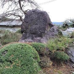 立派な庭石です。
