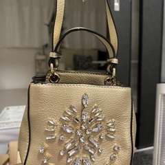 ZARAの小さいバッグ
