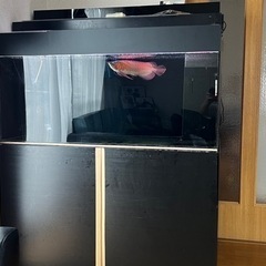 アクリル水槽120.60.60 セット