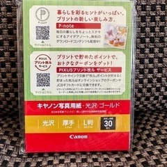 キャノン　インクカートリッジ　GYの画像