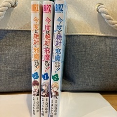 今度は絶対邪魔しません！1-3巻セット