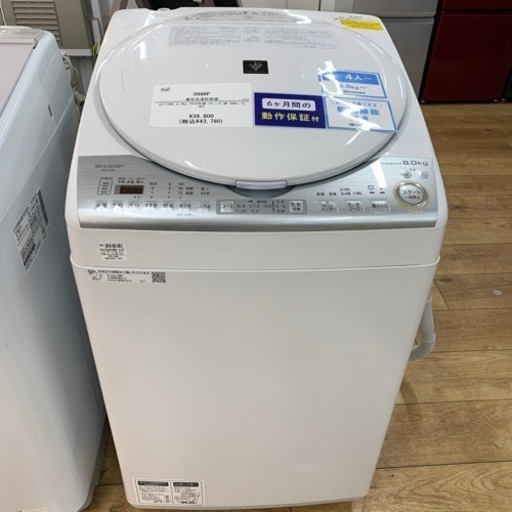 縦型洗濯乾燥機 SHARP  ES-TX8C 8.0kg 2019  年製 クリーニング済 50Hz