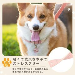 [PULCREO] 犬 首輪 小型犬 お手入れ簡単 柔らかい パステルカラ　プリンセスピンク（本革）, XS)の画像