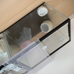 ハムスター飼育セットの画像