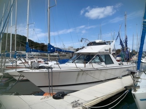 船 クルーザー 係留権付き