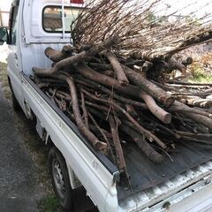 薪　　山（林）の間伐材です。の画像