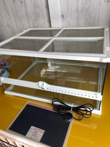 GEX EXOTERRA グラステラリウム6030 ホワイト