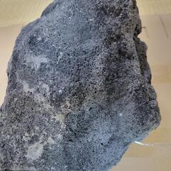 庭石の画像