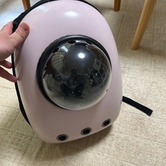 本日受け渡し！ペット運搬用リュックの画像