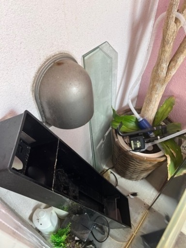 水槽　まとめ売り