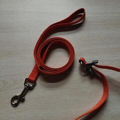 犬🐕散歩用無料の画像