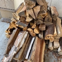 キャンプ用　薪の画像