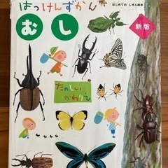 絵本の画像