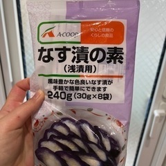 ナス漬けの元