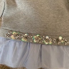 チェスティ　トレーナー　サイズフリーの画像