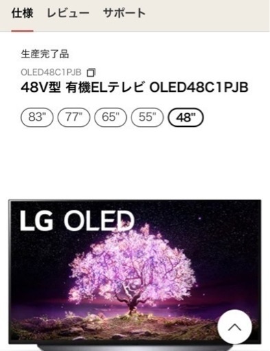 48V型 有機ELテレビ OLED48C1PJB