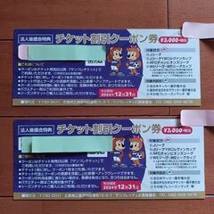サンフレッチェ　広島　3,000円割引券　2枚