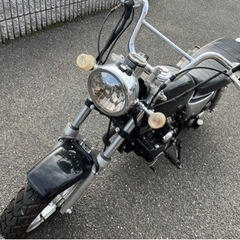 エイプ中華産の画像