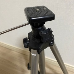 決まりました❣️ 三脚の画像