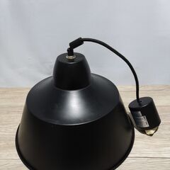 🍎ニトリ ペンダントライト ビレルの画像