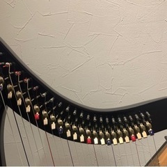 沙羅ハープ (ミリアム) 中頭の楽器の中古あげます・譲ります