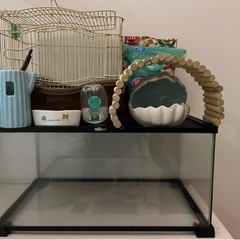 ハムスターの家の画像