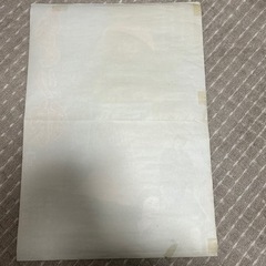 （決まりました）市川雷蔵　映画ポスター　2枚セットの画像