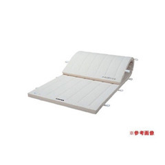 【購入者決定済】体操マット（合成スポンジ）S-9600器械体操