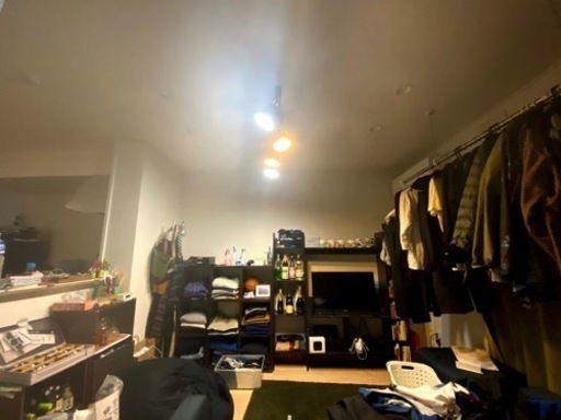 シーリングライト　オシャレ