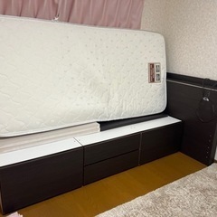 シングルベット