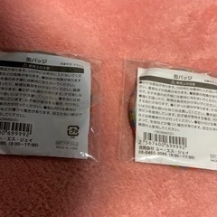 新品未使用　ユニバーサルスタジオジャパン　缶バッジ　2個の画像