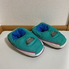 ハヤブサスリッパ