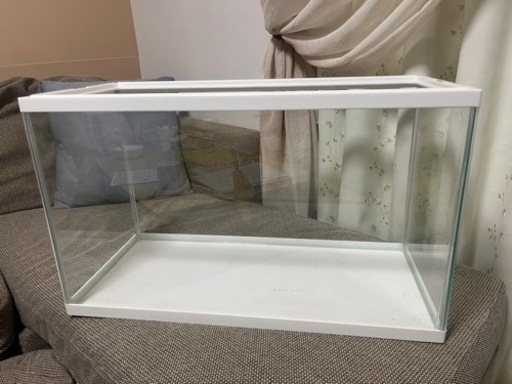 60センチ水槽