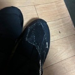 PUMAスニーカーの画像