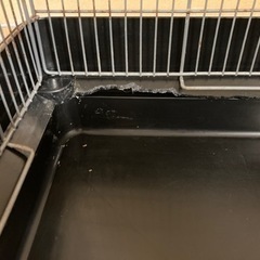 イージーホーム40ハイ 小動物 ケージの画像