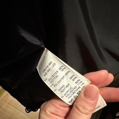 ダントン の画像