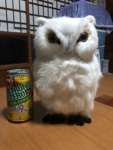 おっきめフクロウ  ⑮