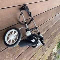 トイプードル用の車椅子