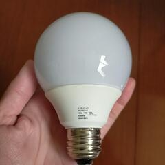シーリングライト 電球2個セットの画像