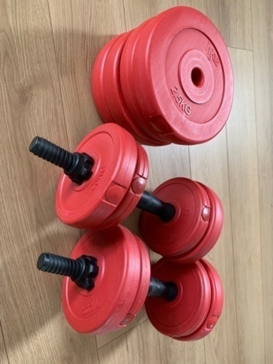 ウエイト　１０キロ　２枚 ウエイト 10キロ 2枚 ウエイト 10キロ 2枚 楽天市場