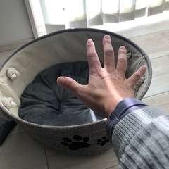 ミニキャットタワー 爪研ぎ ベッドの画像