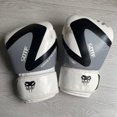 sold^_^フィットネスに^_^ボクシンググローブ12ozの画像