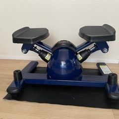 オアシス+INGツイストステッパー