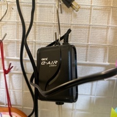 GEX60センチ水槽、外部濾過一式、おまけ付き最終売り切り価格の画像