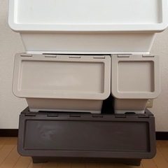 カインズ　キャリコ