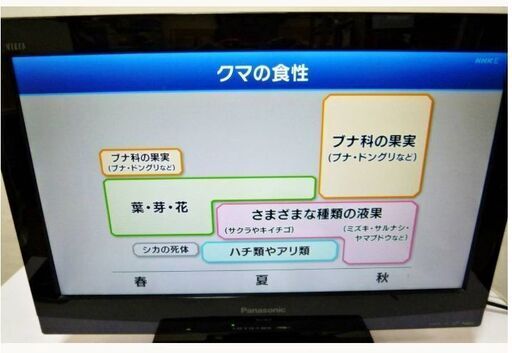 パナソニック　VIERA 19V型液晶テレビ　TH-L19C3-K　動作良好　ハイビジョン　Panasonic　テレビ　TV　液晶　１９インチ