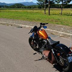お譲り先決定済み　xl1200x バイクバック