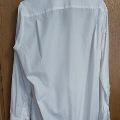 綿シャツ　白　メンズ　ユニクロの画像