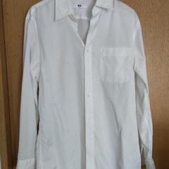 綿シャツ 白 メンズ ユニクロ